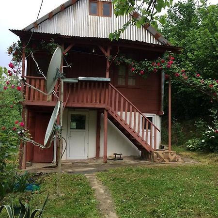Chakvistavi Villa Tengiz מראה חיצוני תמונה