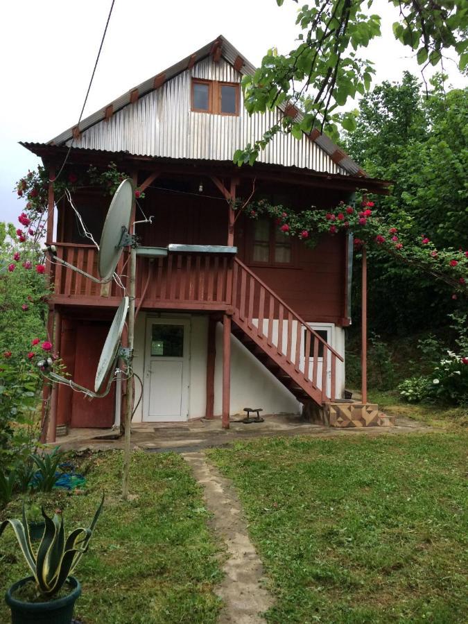 Chakvistavi Villa Tengiz מראה חיצוני תמונה