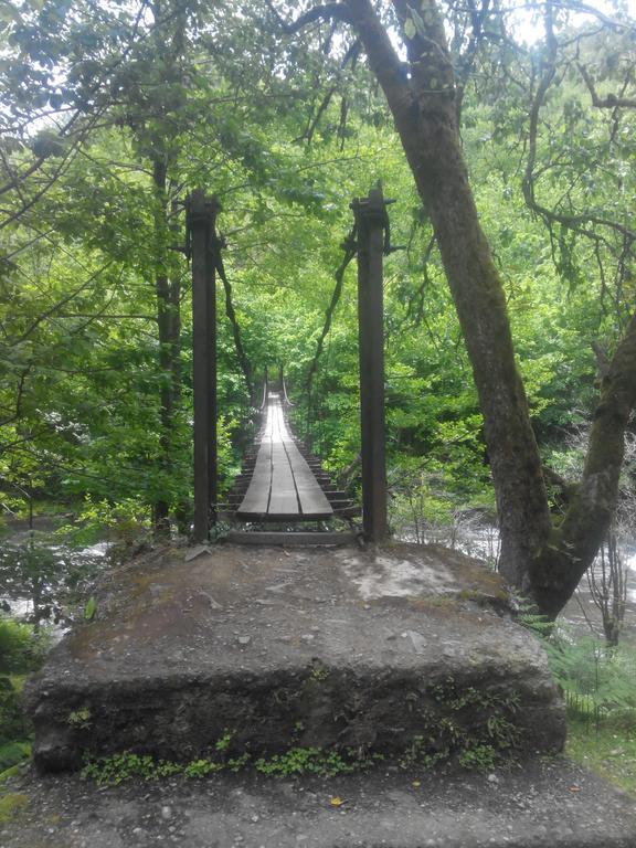 Chakvistavi Villa Tengiz מראה חיצוני תמונה